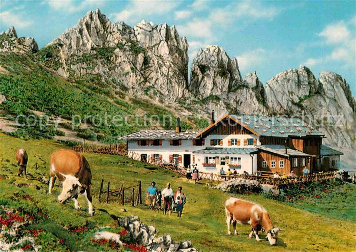 Kampenwand Chiemgau Steinlingalm Kuehe