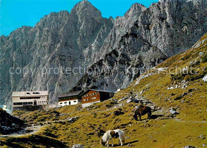 Gruttenhuette mit Pferden im Wilden Kaiser