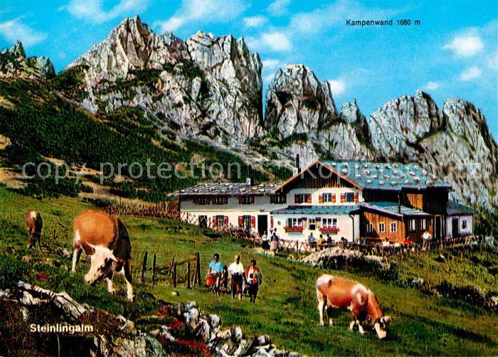 Kampenwand Chiemgau Chiemsee Steinlingalm mit Kuehen