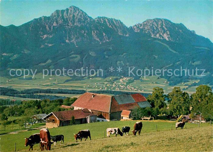 Anger Chiemgau Strobl Alm am Hoegel mit Hochstaufen Zwiesel