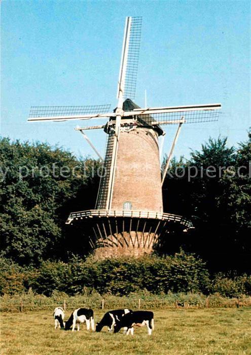 Arnhem Rijksmuseum voor Volkskunde Windmuehle Kuehe
