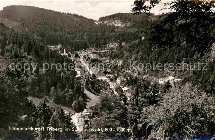 Triberg Schwarzwald Panorama