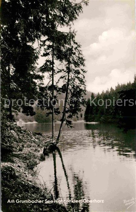 Hahnenklee-Bockswiese Harz Am Grumbacher See