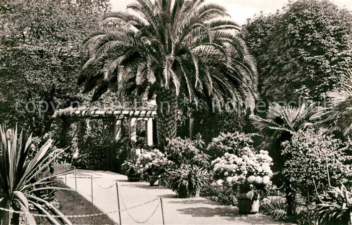Insel Mainau Palmenhain
