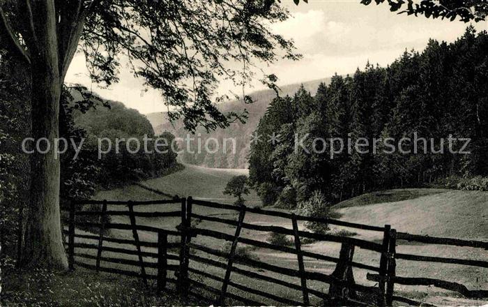 Holzminden Weser Holzmindetal