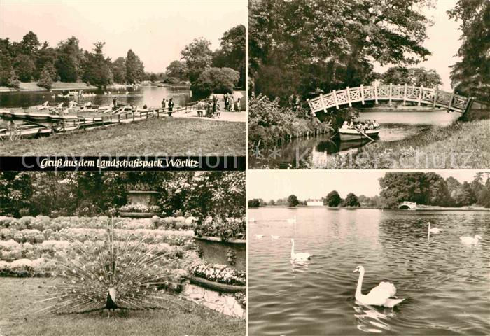 Woerlitz Landschaftspark Brueckchen Pfau Schwaene