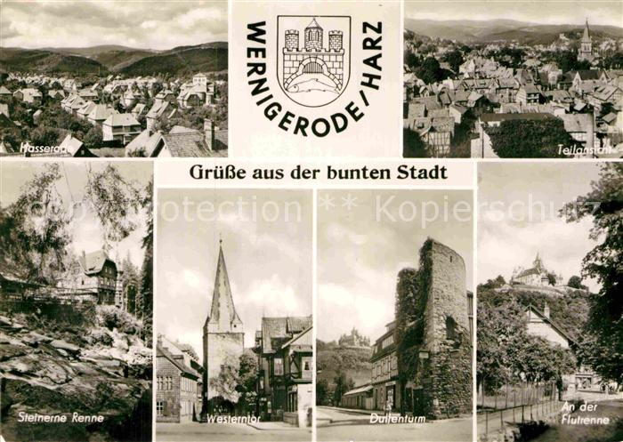 Wernigerode Harz Hasserode Panorama Steinerne Renne Westerntor Dullenturm Flutre
