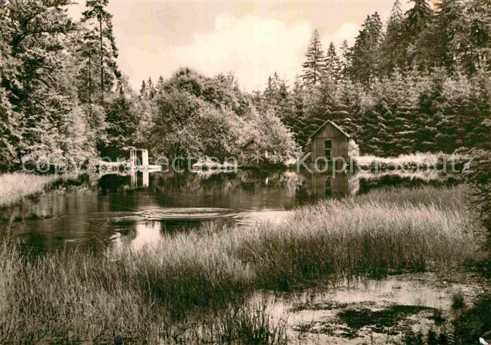 Olbernhau Erzgebirge Pulvermuehlenteich