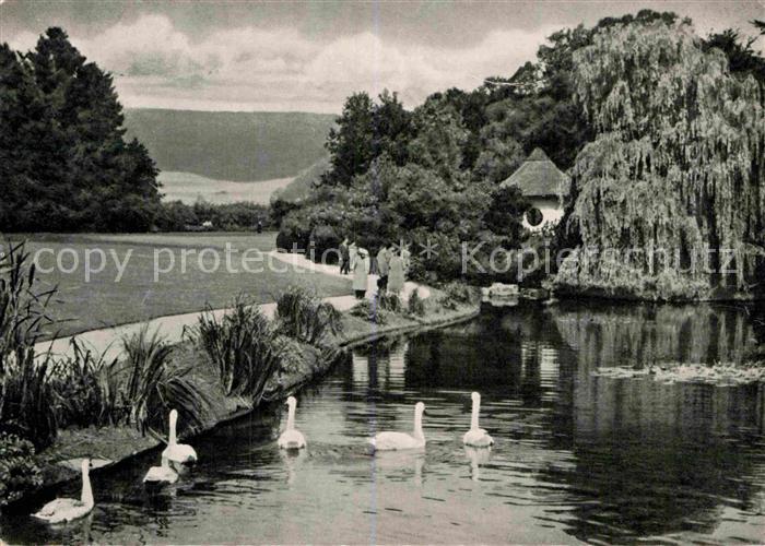 Bad Pyrmont Partie im Kurpark