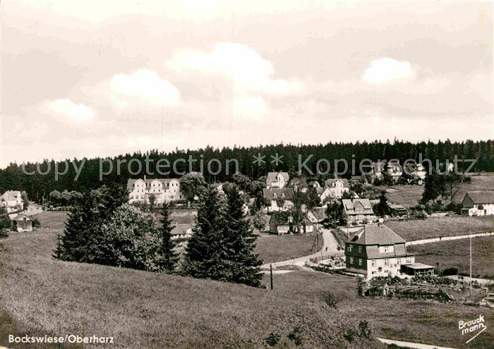 Bockswiese-Hahnenklee Harz Panorama