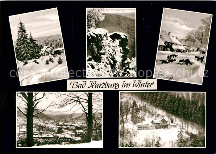 Bad Harzburg Marienteichbaude Rabenklippen Molkenhaus Ostviertel Sennhuette