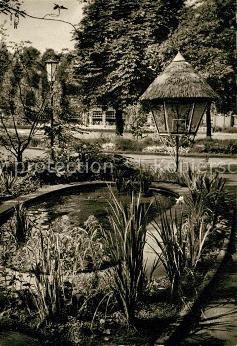 Bad Salzuflen Goldfischteich im Kurpark