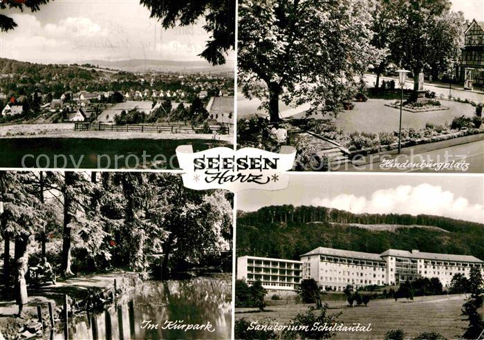 Seesen Harz Panorama Hindenburgplatz Kurpark Sanatorium Schildautal