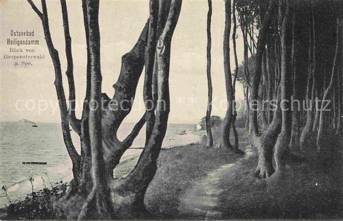 Heiligendamm Ostseebad Blick vom Gespensterwald am See