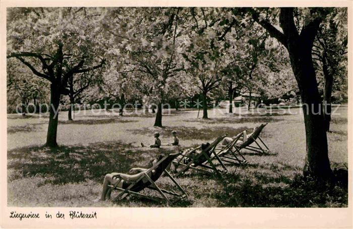 Dornstetten Wuerttemberg Gasthaus-Pension zur Blume Liegewiese