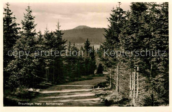 Braunlage Harz Achtermann