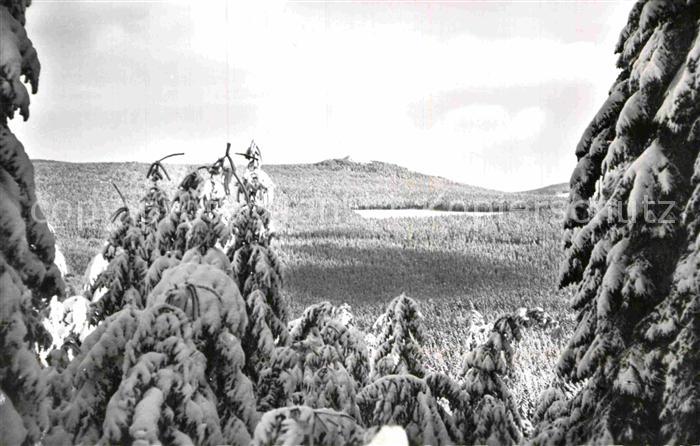 Koenigskrug Harz Achtermann