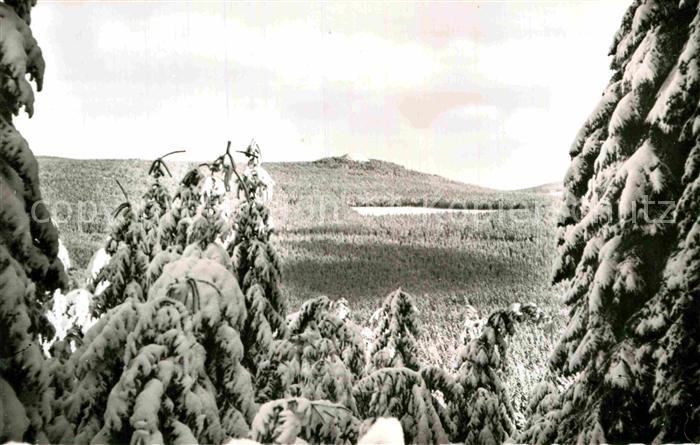 Koenigskrug Harz Achtermann