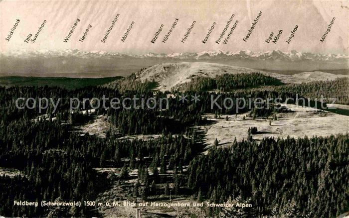 Feldberg Schwarzwald Herzogenhorn Schweizer Alpen