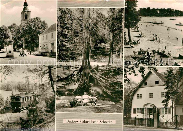Buckow Maerkische Schweiz Wurzelfichte Strandbad Schermuetzelsee Brecht-Weigel-H