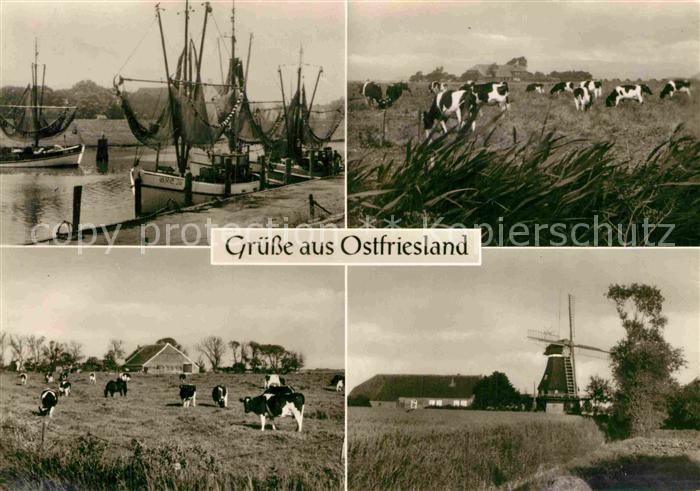 Ostfriesland Fischerboote Kühe Windmühle