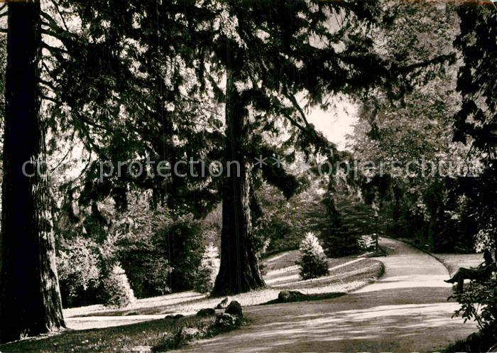 BADENWEILER BW Parkpartie