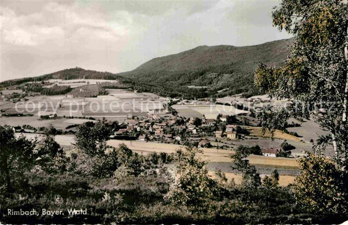 Rimbach Bayrischer Wald Teilansicht