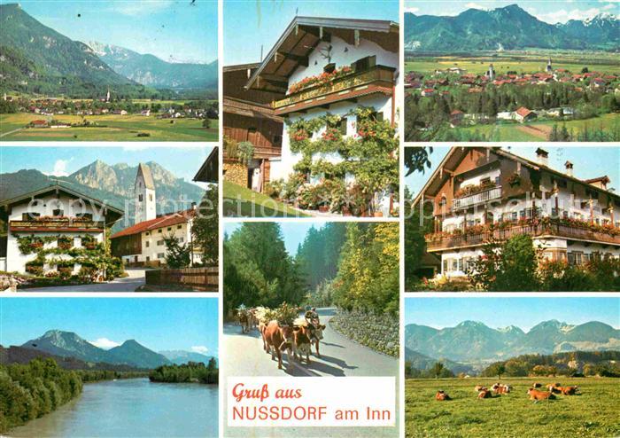 Nussdorf Inn Teilansicht Kirche Inn Typisches Haus