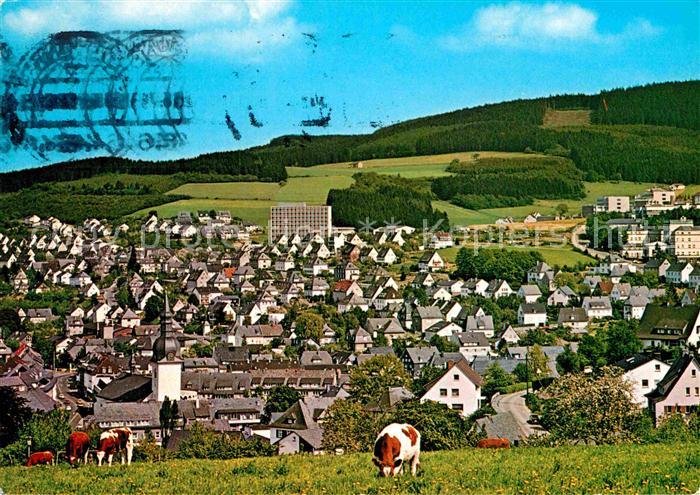 Meschede Gesamtansicht