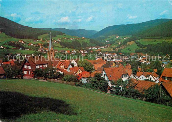 Baiersbronn Schwarzwald Teilansicht