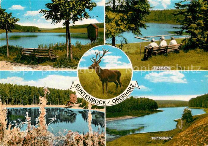 Buntenbock Teilansicht Hasenbacher- Bade- Prinzenteich