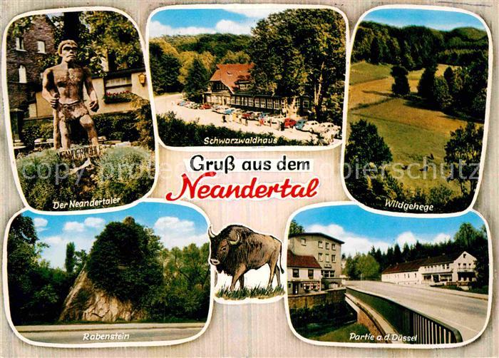 Neandertal Neandertaler Rabenstein Partie an der Duessel Wildgehege