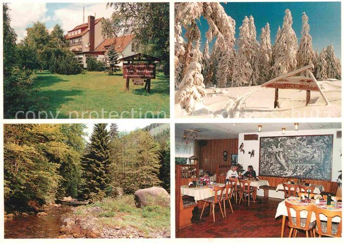 Altenau Harz Hotel Zum Forsthaus