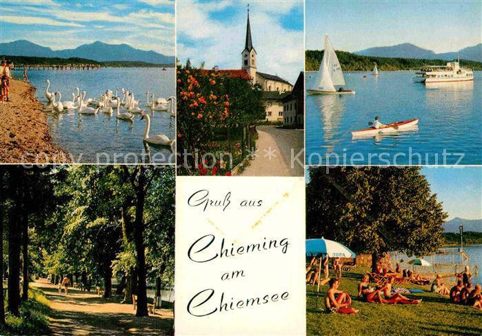 Chieming Chiemsee Segelboot Schwan Badesee