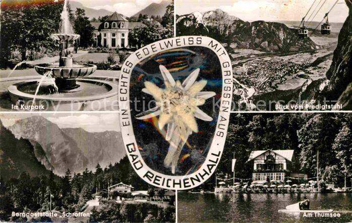 Edelweiss Kurpark Predigtstuhl-Seilbahn Berggasts