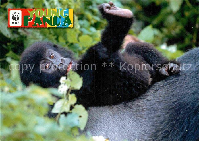 Affen Gorilla-Baby WWF Young Panda