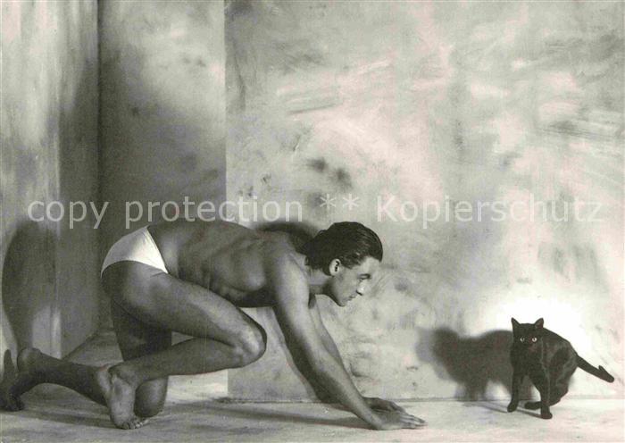 Katzen Christian Coigny
