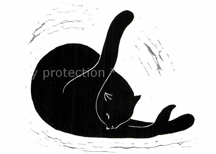 Katzen Katzenwaesche Franz Traunfellner