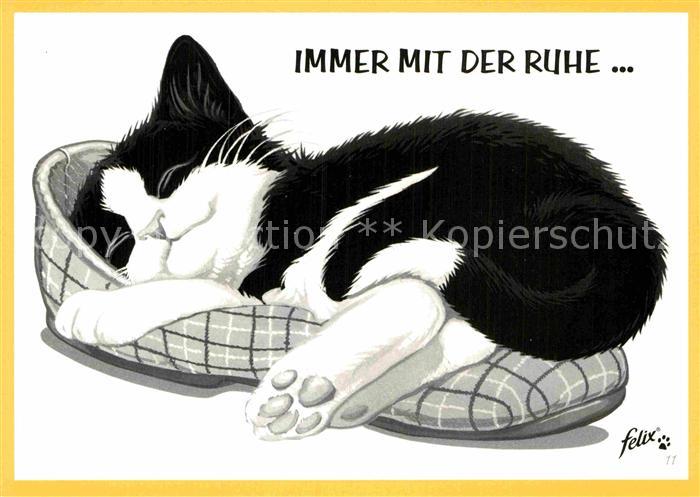 Katzen Werbung Felix