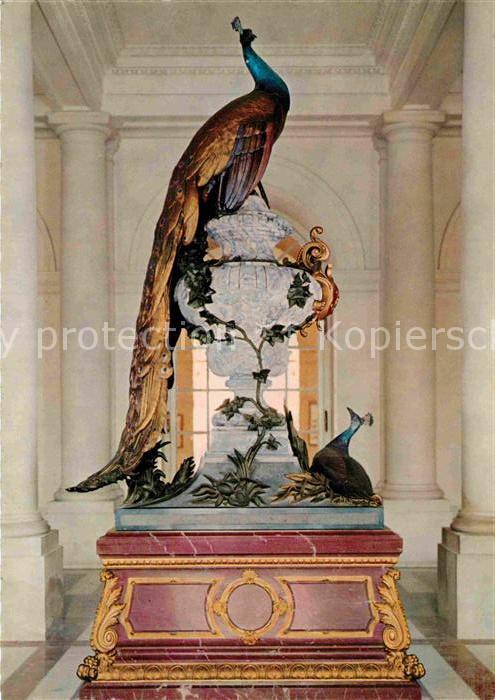 Voegel Birds Oiseaux Uccelli Pajaros-- Pfau Koenigsschloss Herrenchiemsee