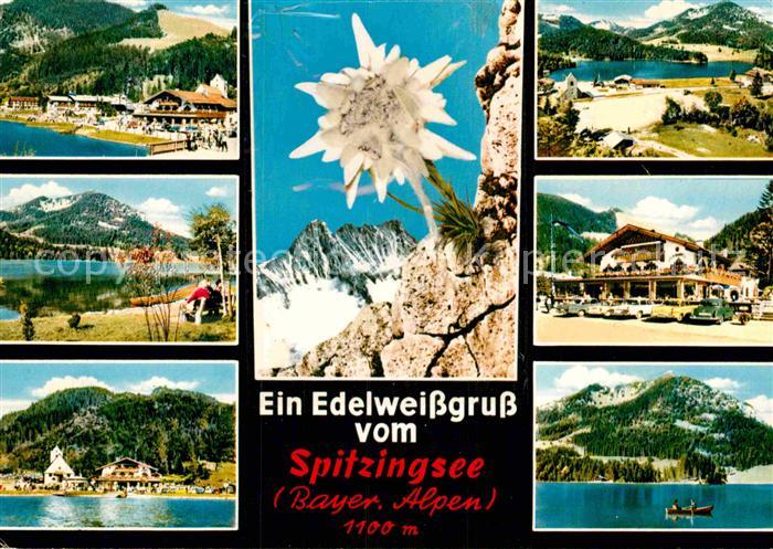 Edelweiss Spitzingsee