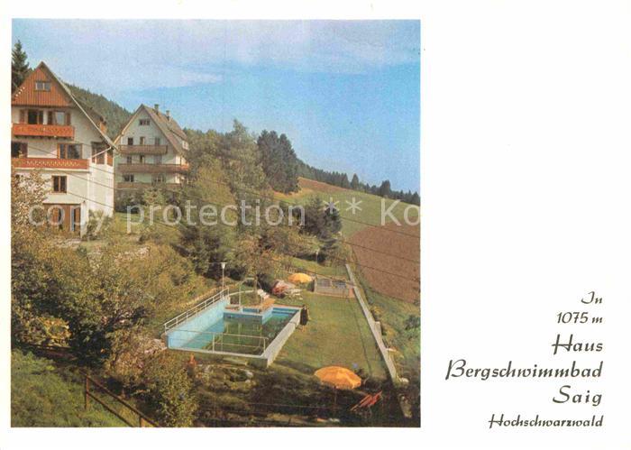 Saig Schwarzwald Haus Bergschwimmbad