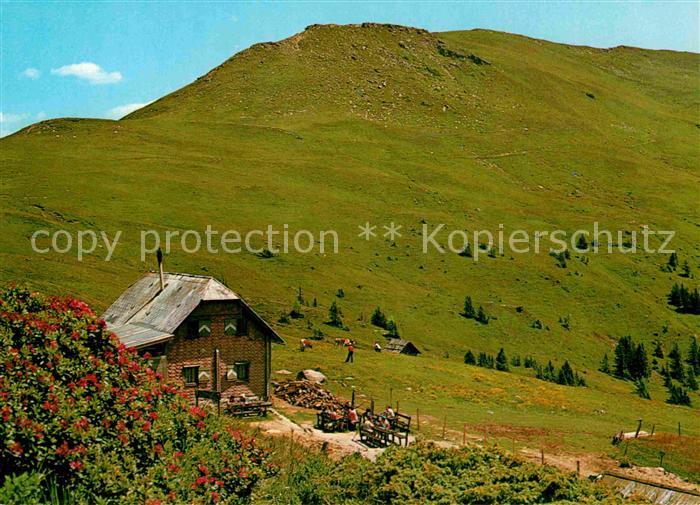 Millstatt Millstaettersee Millstaetterhuette Kamplnock