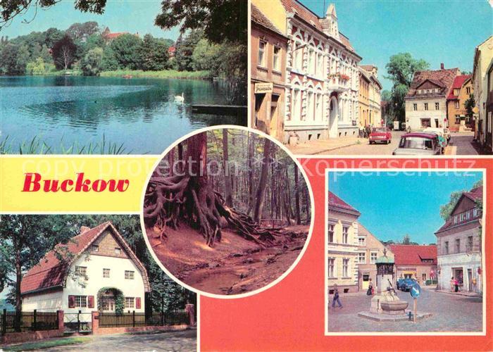 Buckow Maerkische Schweiz Buckowsee Clara Zetkin Strasse Wurzelfichte Brecht Wei