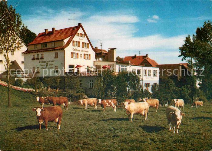 Winterkasten Lindenfels Gasthaus Pension zur Traube Viehweide Kuehe