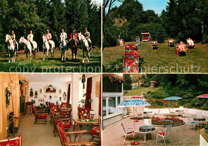 Braunlage Reiterpension Haus Elise Pferde Ausritt Liegewiese Terrasse Gastraum