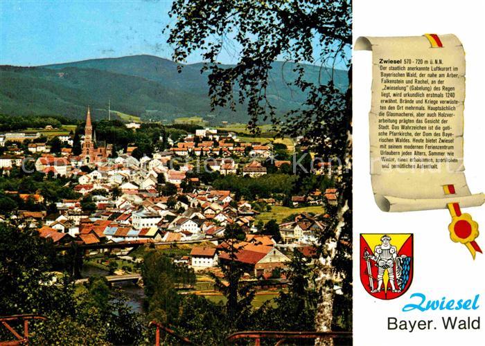Zwiesel Niederbayern Stadtpanorama Geschichte Siegel Wappen