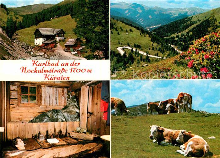 Radenthein Karlbad Gasthaus und Heilbad Nockalmstrasse beim Koenigstuhl Almvieh
