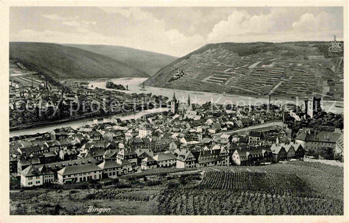 Bingen Rhein Panorama