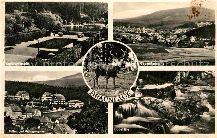 Braunlage Kurpromenade Gesamtansicht Villen und Achtermann Bodefaelle